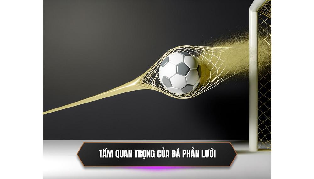 Tầm quan trọng của đá phản lưới